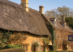 thatched house