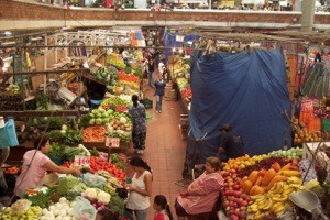 market traders